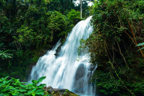 Randonnée dans le parc national de Doi Inthanon et randonnée sur le sentier de Pha Dok SiewVisite du parc national de Doi Inthanon et randonnée sur le sentier Pha Dok Siew