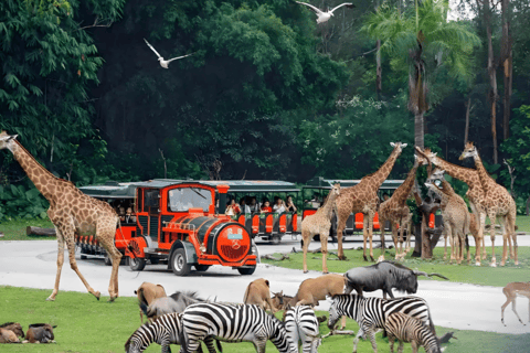 Guangzhou: Chimelong Safari Park Entry with Private Transfer Shenzhen | Private Transfer + Chimelong Safari Park Ticket