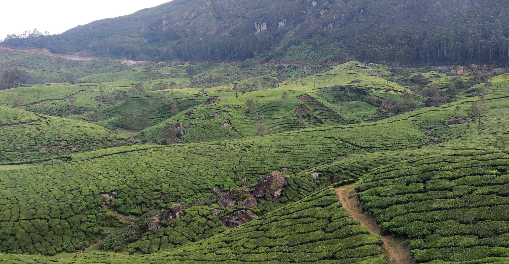 Kolukkumalai Tent Stay, Munnar, India