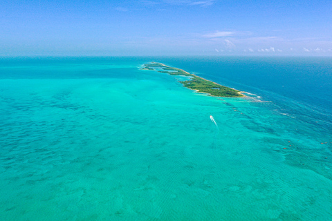 Depuis Cancun ou Riviera Maya : excursion à Isla Contoy et Isla MujeresTour de la zone hôtelière de Cancún et du centre de Cancún