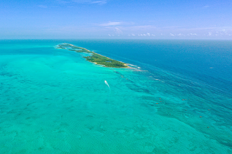 Van Cancun of Riviera Maya: reis naar Isla Contoy en Isla MujeresTour vanuit Playa del Carmen en Puerto Morelos