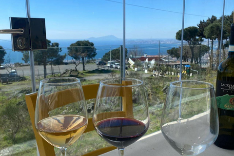 Naples: Pompeii Group Tour with Wine Tasting & Light Lunch Semi-Private Group up to 8 people