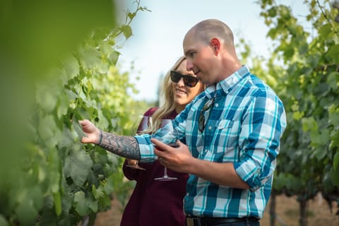 San Francisco: Small-Group Sonoma Wine Tour with Tastings