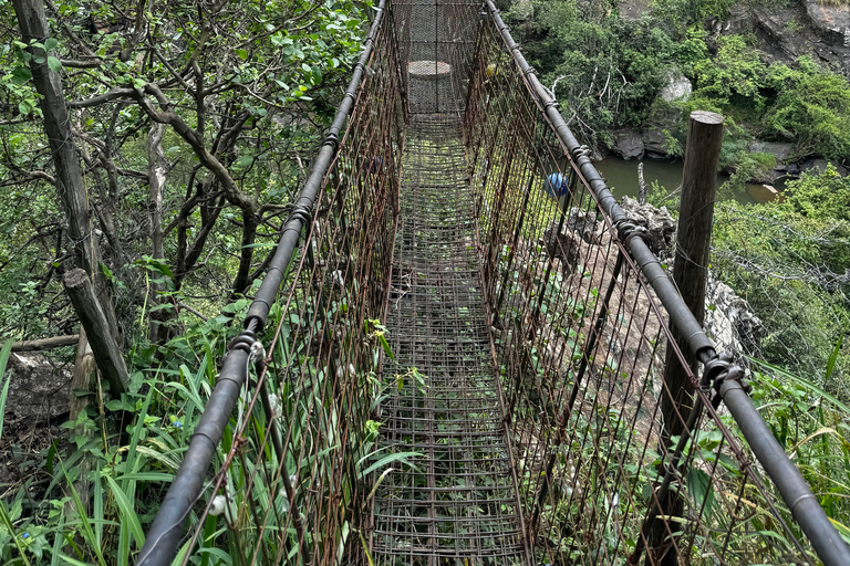 Full Day Nairobi National Park Safari with Meals