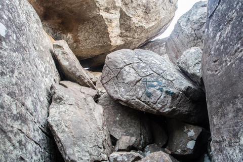 Depuis Colombo : Excursion d&#039;une journée à Dambulla et à l&#039;escalade du rocher de Pidurangala