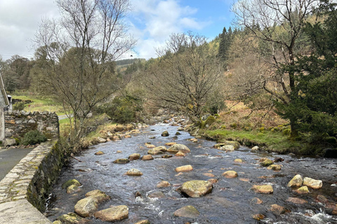 From Dublin: Wicklow Mountains & Glendalough Guided Tour