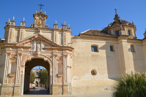 Seville Highlights: Panoramic Tuk-Tuk Tour (Day or Sunset) 1-Hour Essential City Highlights