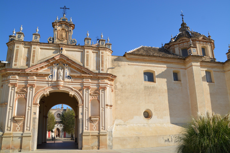 Seville Highlights: Panoramic Tuk-Tuk Tour (Day or Sunset) 1-Hour Essential City Highlights