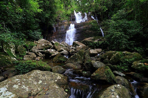 South Coast: Sinharaja Rainforest Walk and Waterfall