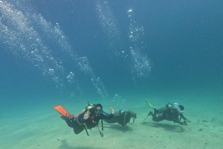 Coron: Dugong and Sea Turtle Watching with Lunch