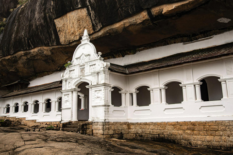 Sigiriya e Dambulla: Tour privato di un giorno da Trincomalee