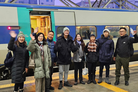 Busan private Ganztagestour mit KTX ab SeoulPrivate Tour, 1Tag Busan Stadtrundfahrt mit KTX ab Seoul