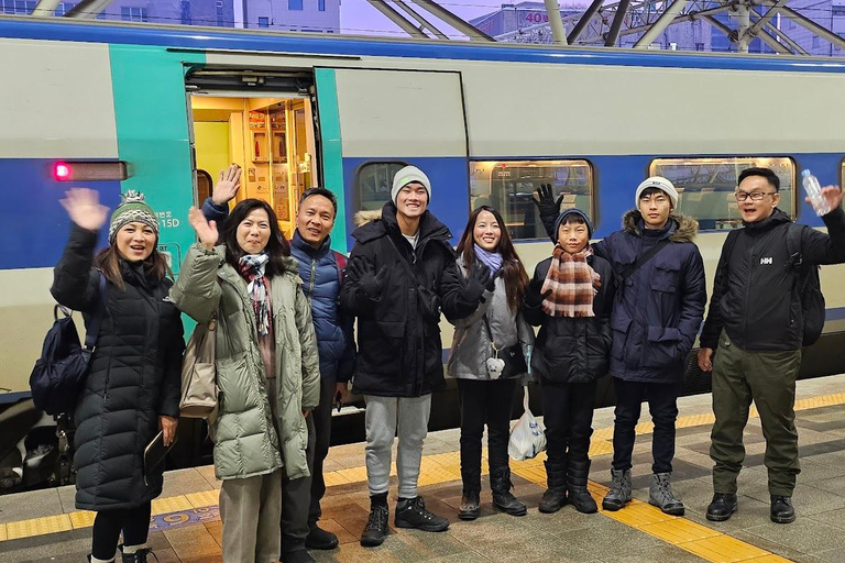 Busan private Ganztagestour mit KTX ab SeoulPrivate Tour, 1Tag Busan Stadtrundfahrt mit KTX ab Seoul