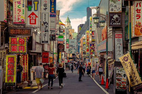 Best of Tokyo: Guided Full Day City Tour with Lunch