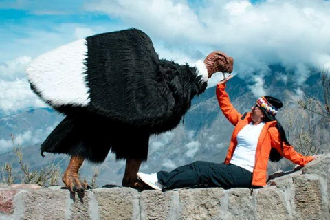 Arequipa: Colca Canyon Tour with Breakfast & Lunch
