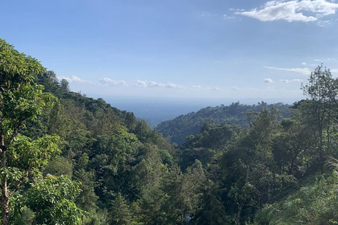 Materuni Waterfalls and Coffee Day Tour