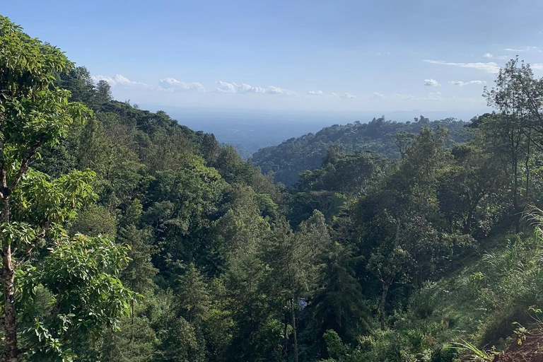 Materuni Waterfalls and Coffee Day Tour