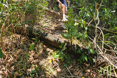 Santuario de My Son y Senderismo de Montaña - PeregrinaciónMi hijo Santuario Viaje de madrugada