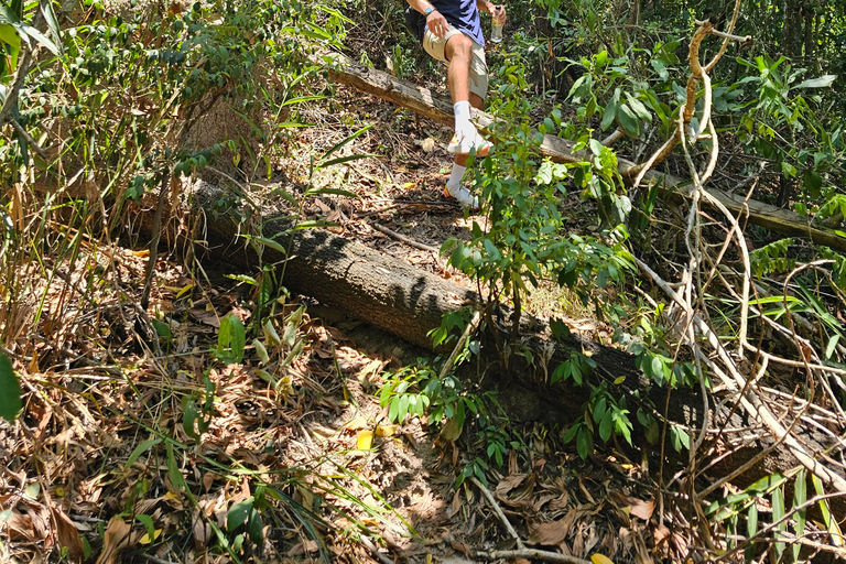 Santuario de My Son y Senderismo de Montaña - PeregrinaciónMi hijo Santuario Viaje de madrugada