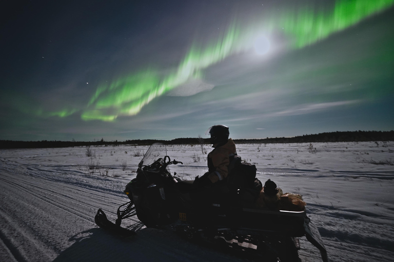 Rovaniemi: Private Snowmobile Trip in Lapland