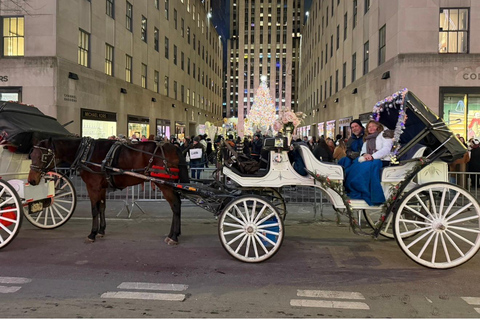 NYC: Central Park Christmas Lights Horse-Drawn Carriage Ride