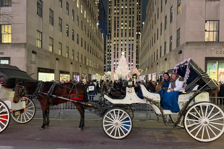 NYC: Central Park Christmas Lights Horse-Drawn Carriage Ride