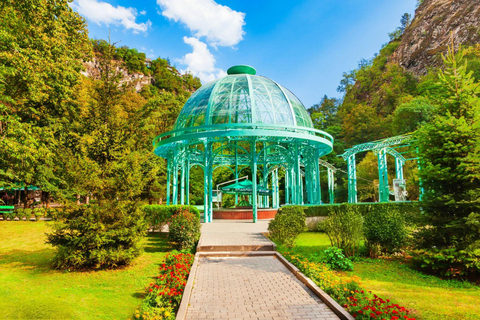 From Tbilisi: Borjomi and Bakuriani Ski Resort Private Tour