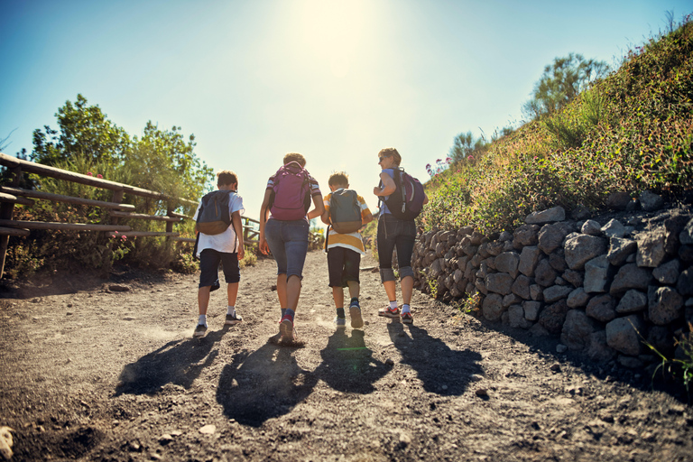 Naples: Pompeii &amp; Mt. Vesuvius Day Trip with Tickets &amp; LunchSmall Group Tour in French (up to 8 Pax)