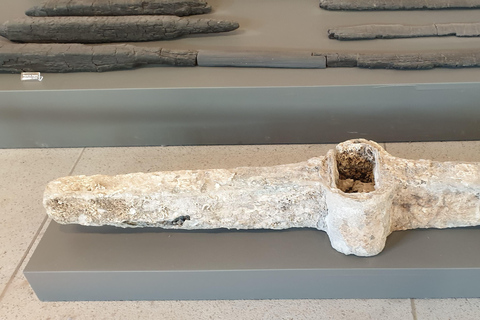 Pompeii: Private Guided Tour with Herculaneum – 3 Options Pompeii Herculaneum & Naples