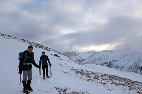 Cairngorms: aventura guiada de senderismo invernal