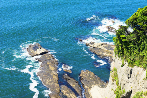 Tokyo Yokohama Night View Tour With Kamakura And Enoshima