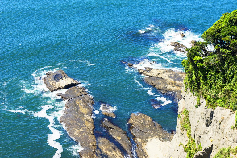 Tokyo Yokohama Night View Tour With Kamakura And Enoshima