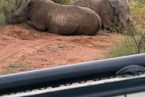 Johannesburg and Pretoria half day big 5 safari tour