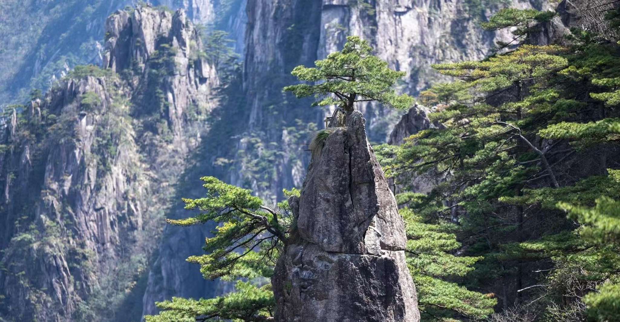 Huangshan：the Essence Route of Huangshan Backside Day Trip - Housity