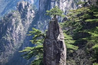 Huangshan: la voie de l'essence de Huangshan Backside Day Trip - Housity