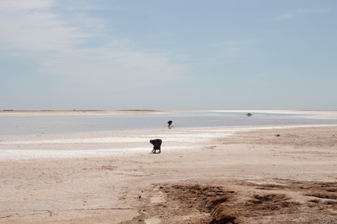 6 dias de emoções: Aventura de jipe no coração do deserto