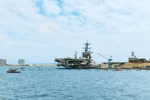 San Diego : Croisière d'observation des baleines et des dauphins