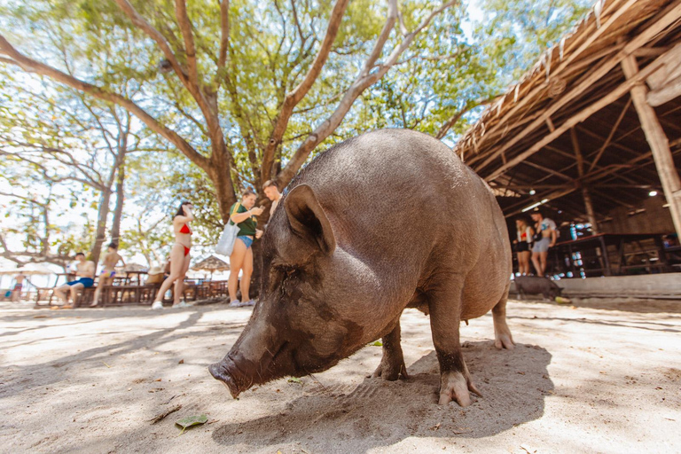 Koh Samui Explorer: Det ultimata vattenskoteräventyret3 timmar vattenskoter