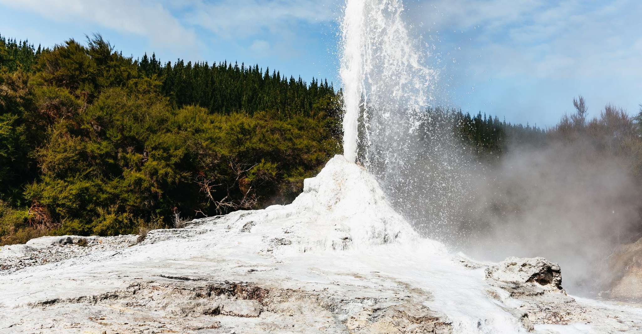 Waiotapu, Thermal Park and Lady Knox Geyser Entry Ticket - Housity