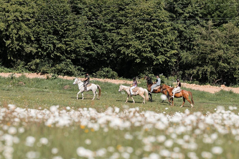 From Yerevan: Extreme Park Private Tour with Activities