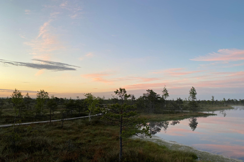 Från Riga: Resa till Kemeri nationalpark och Jurmala