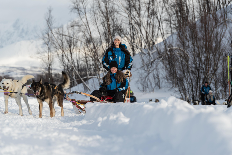 Tromsø: Easy Dog Sledding Tour & Kennel Visit
