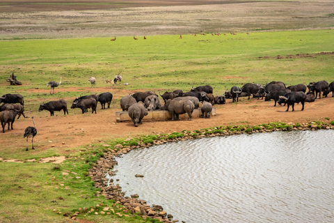 Zanzibar : Safari de 2 jours dans le parc national de Mikumi avec vols