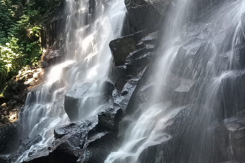 Bali Bathing Holy Spring Water or Purification