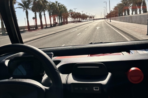 Malaga: Tour vom Sonnenuntergang bis zur Nacht mit dem ElektroautoStandard Option