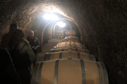 Excursão a Ribera del Duero: 2 adegas com transporte a partir de MadridExcursão à Ribera del Duero: 2 adegas com transporte saindo de Madrid