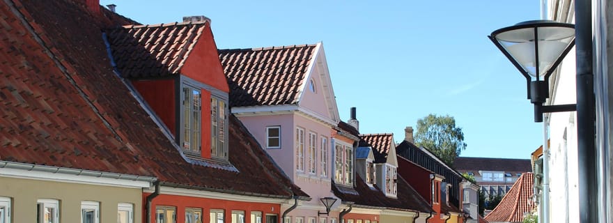 Odense : visite guidée privée à pied