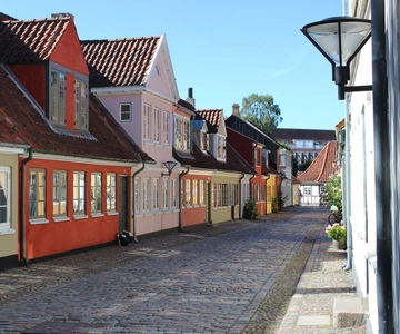 Odense Visita guiada privada a pie