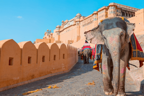 Jaipur: Private Guided Day Tour with Palaces & Hidden Gems Car + Guide Package