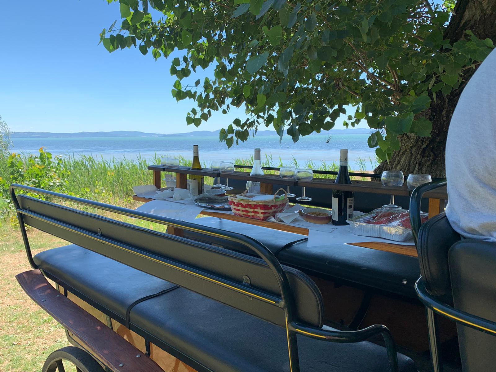 Kutschfahrt am Trasimenischen See + Mittagessen & Führung durch Cortona